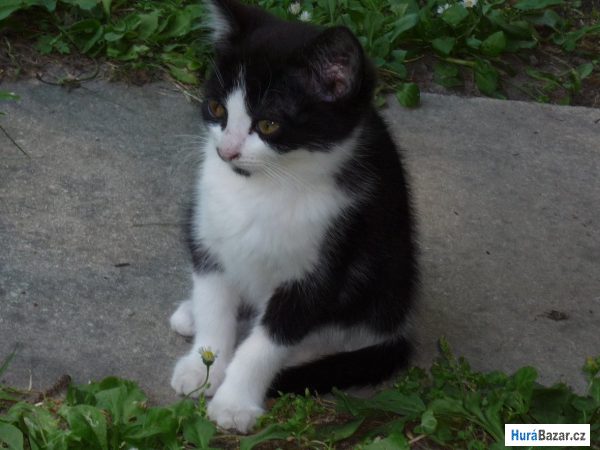 detailní fotografie