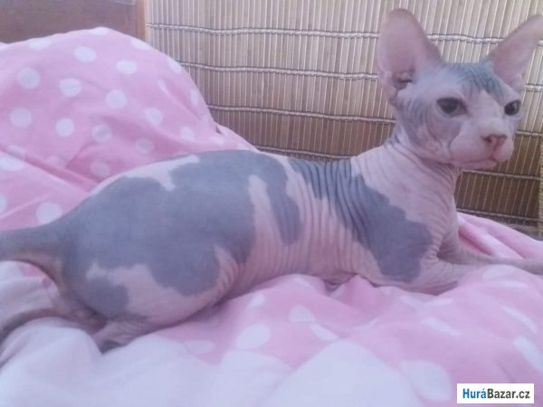 detailní fotografie