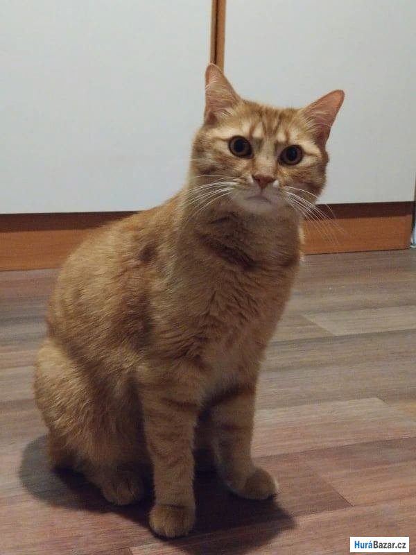 detailní fotografie