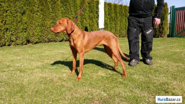 detailní fotografie