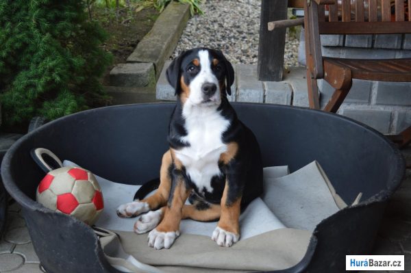 detailní fotografie