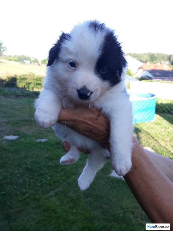 detailní fotografie