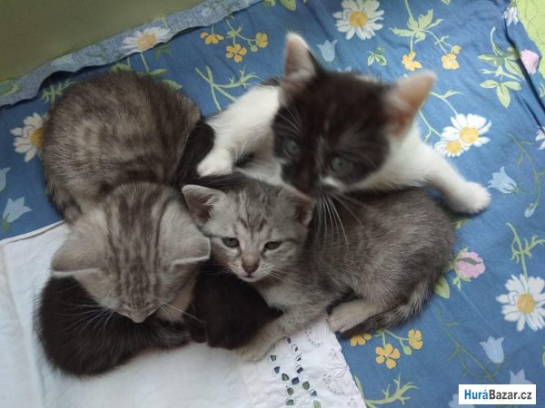 detailní fotografie