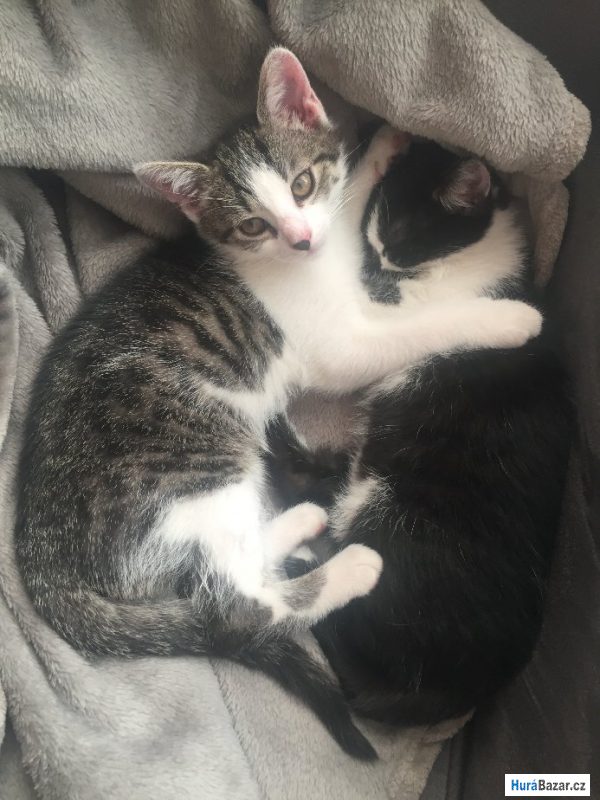 detailní fotografie