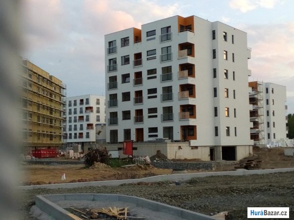 detailní fotografie