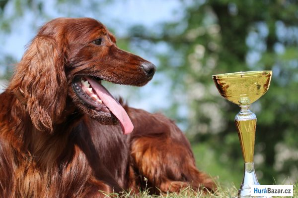 detailní fotografie