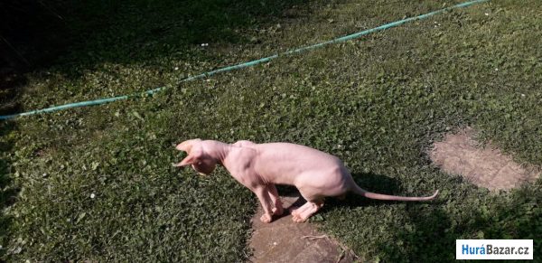 detailní fotografie