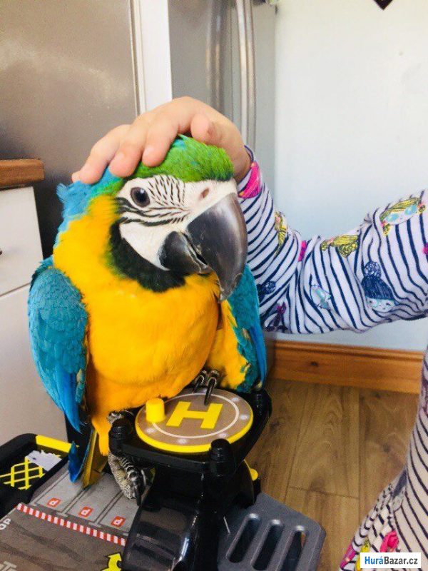 detailní fotografie