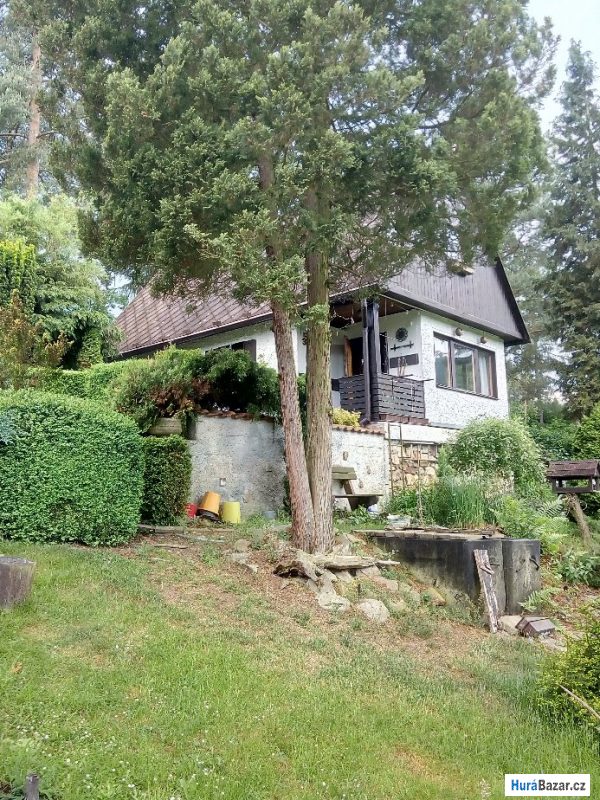 detailní fotografie