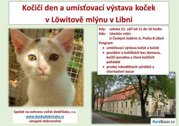 detailní fotografie