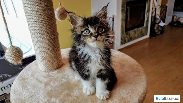 detailní fotografie