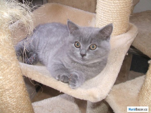 detailní fotografie