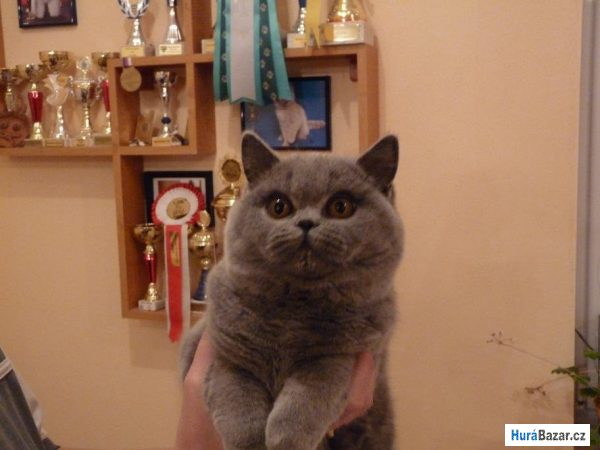 detailní fotografie