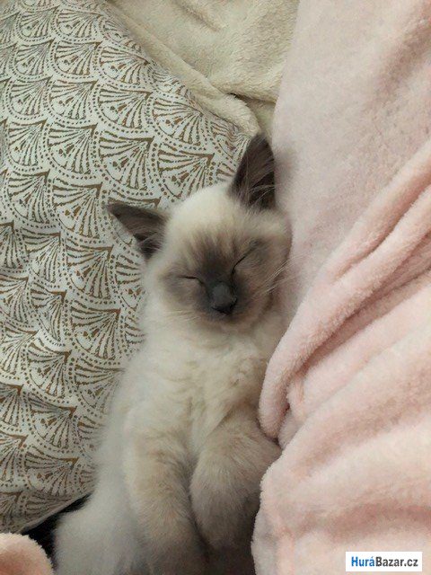 detailní fotografie