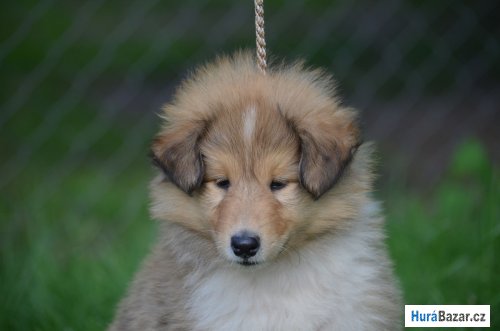 detailní fotografie