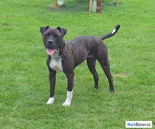 detailní fotografie