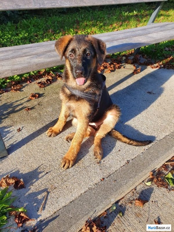 detailní fotografie