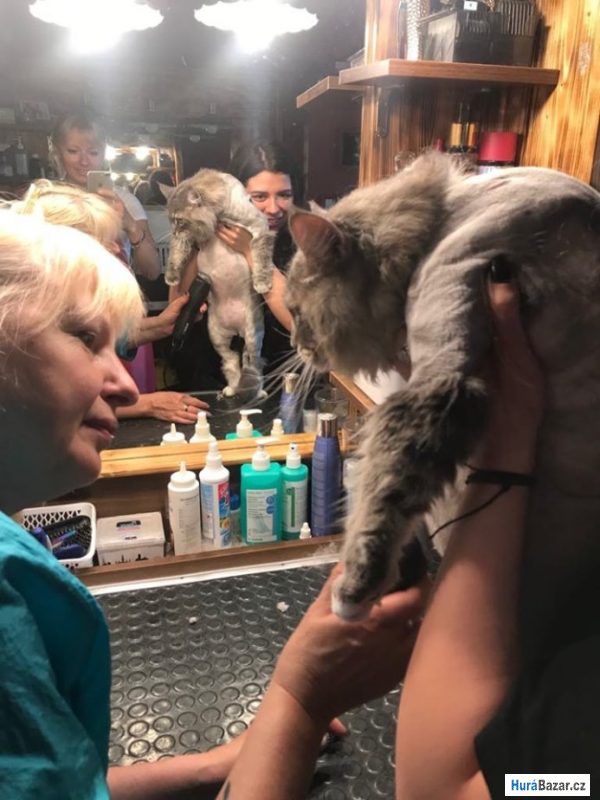 detailní fotografie