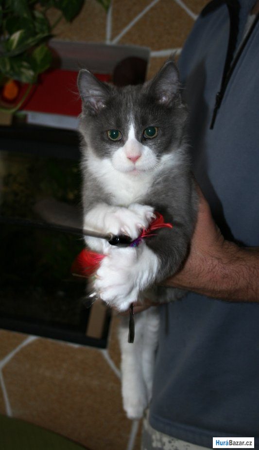 detailní fotografie