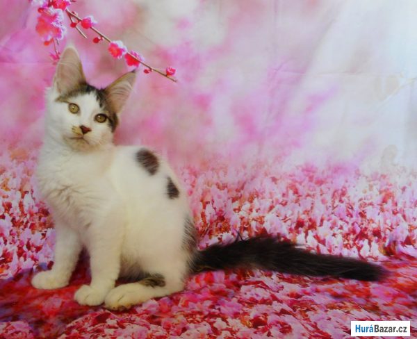 detailní fotografie