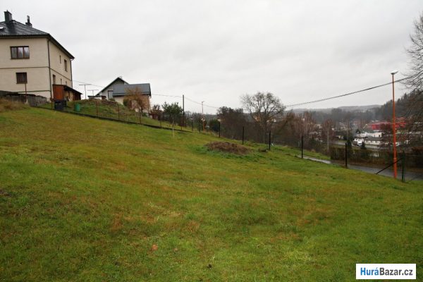 detailní fotografie