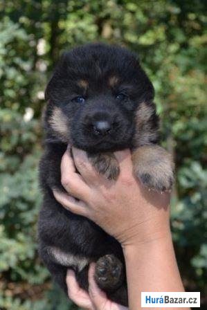 detailní fotografie