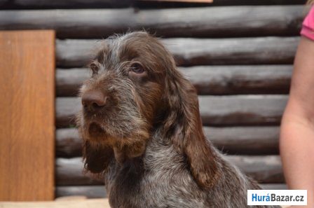 detailní fotografie