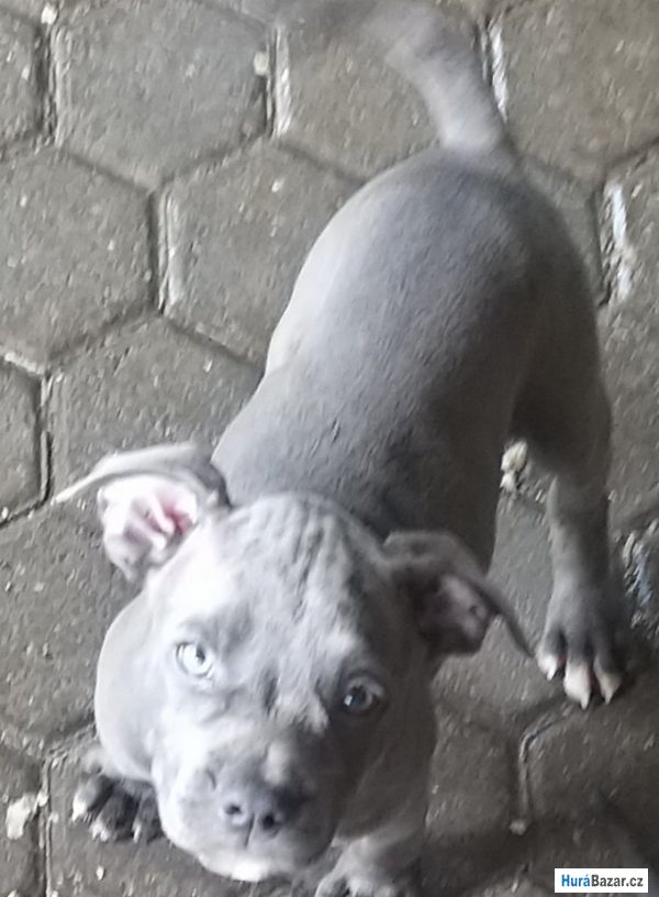 detailní fotografie