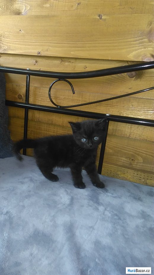 detailní fotografie