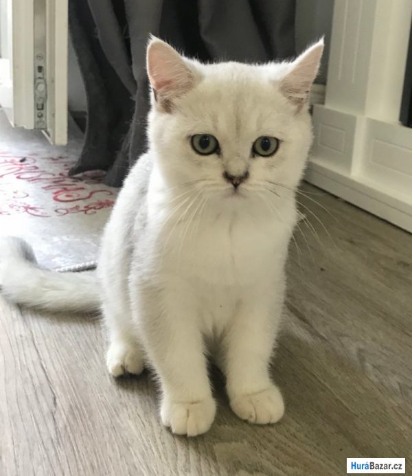 detailní fotografie