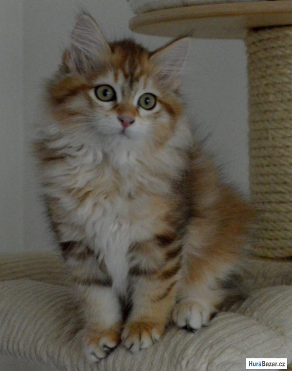 detailní fotografie