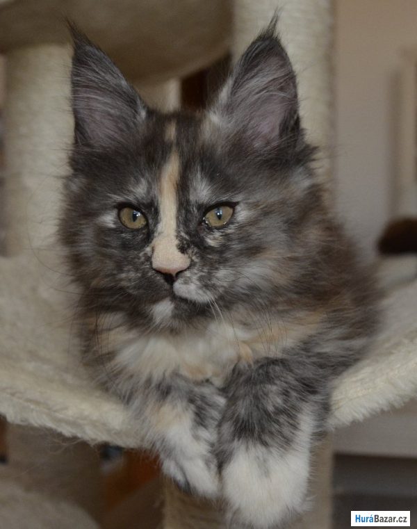 detailní fotografie