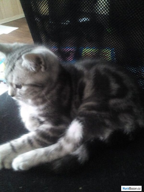 detailní fotografie