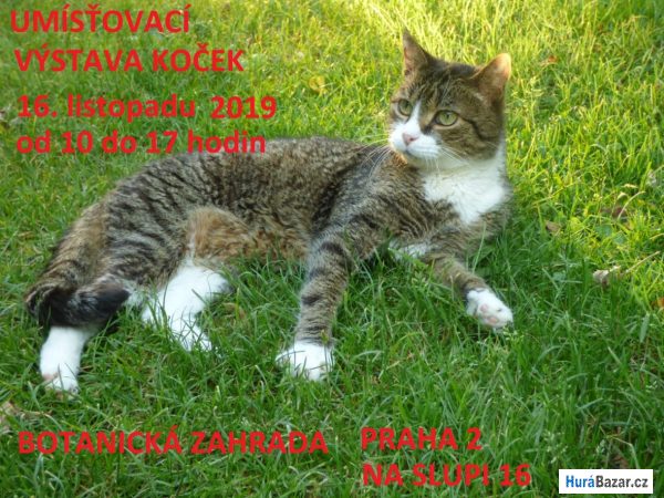 detailní fotografie