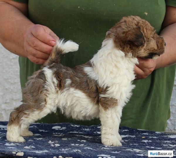 detailní fotografie