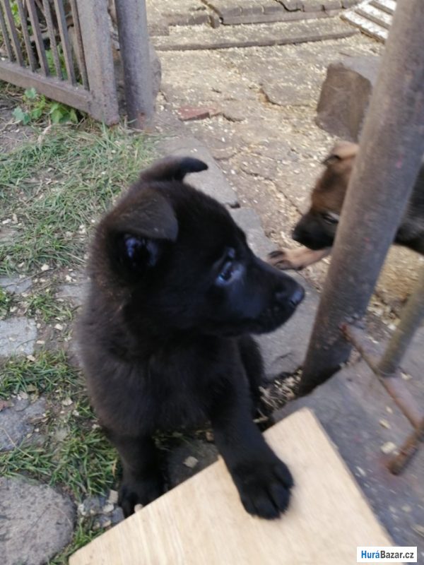 detailní fotografie