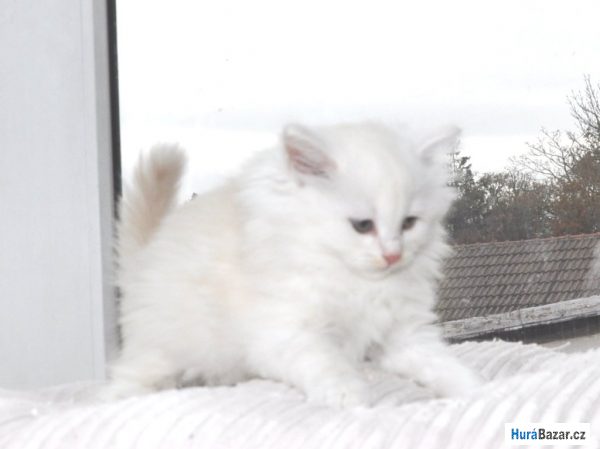 detailní fotografie