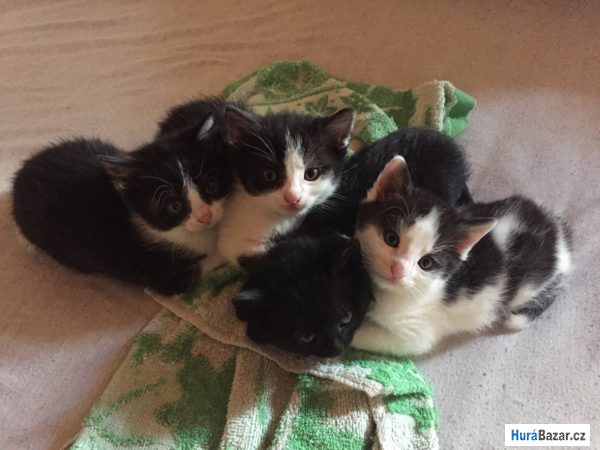 detailní fotografie