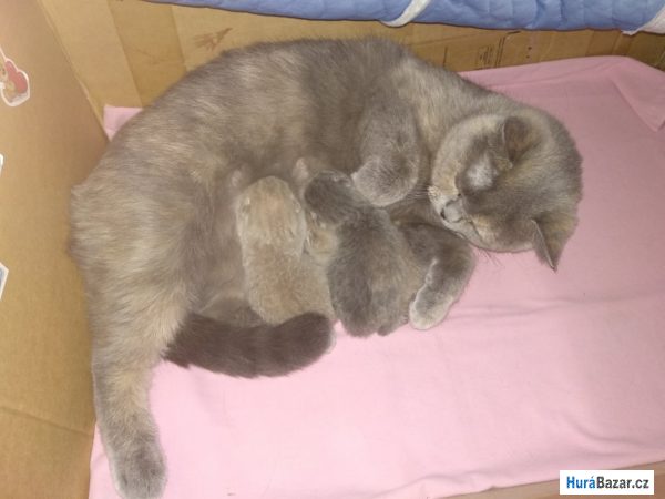 detailní fotografie