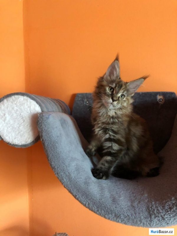 detailní fotografie