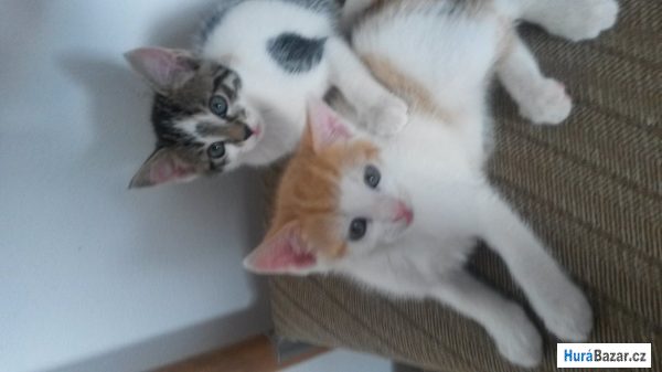 detailní fotografie