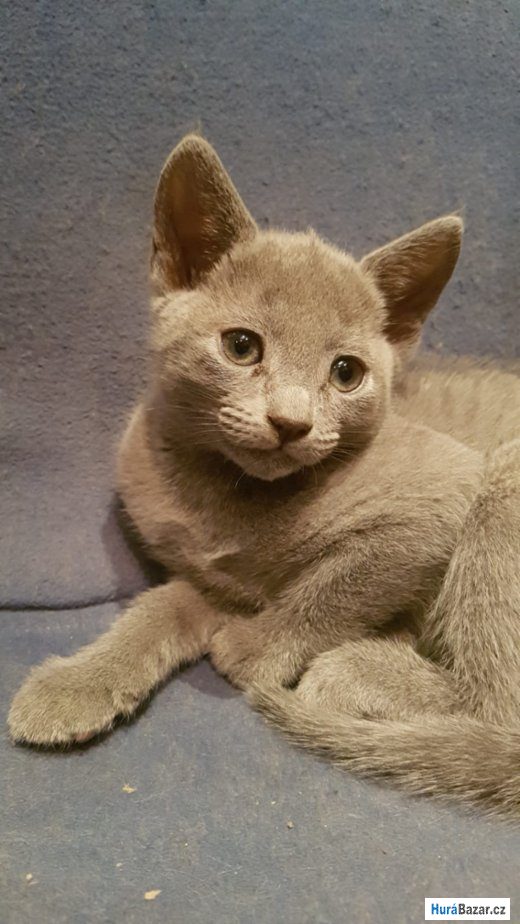 detailní fotografie