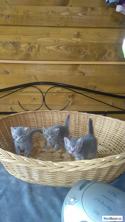 detailní fotografie