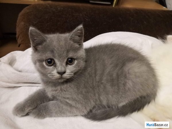 detailní fotografie