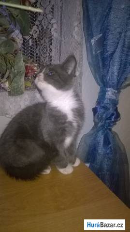 detailní fotografie