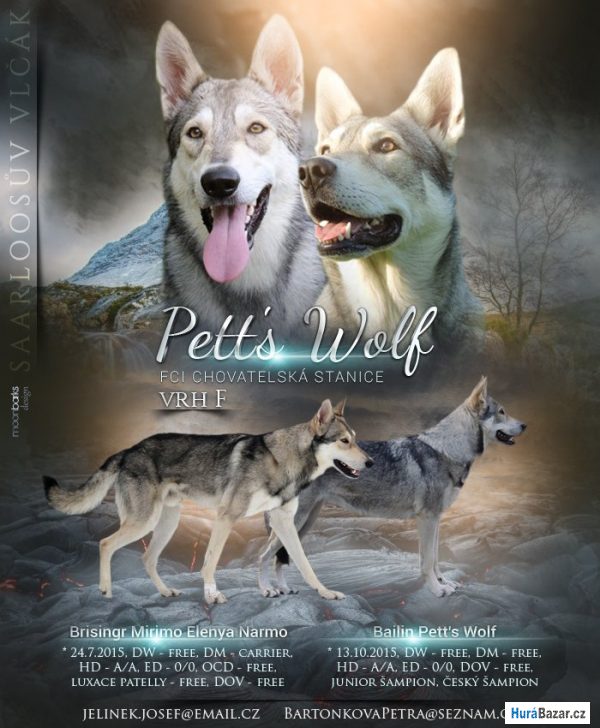 detailní fotografie