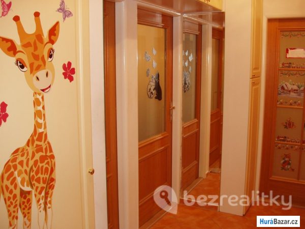 detailní fotografie