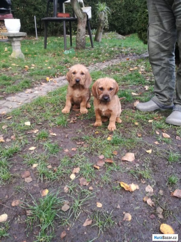 detailní fotografie