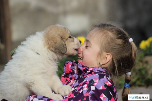 detailní fotografie