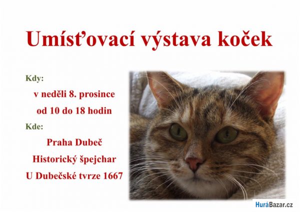 detailní fotografie